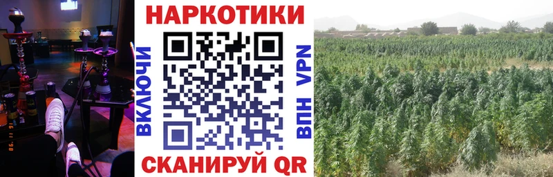 Наркошоп купить Каннабис  APVP  ГАШ  Меф мяу мяу  COCAIN  Куровское
