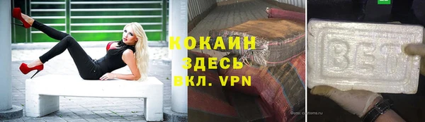 прущие грибы Богородск