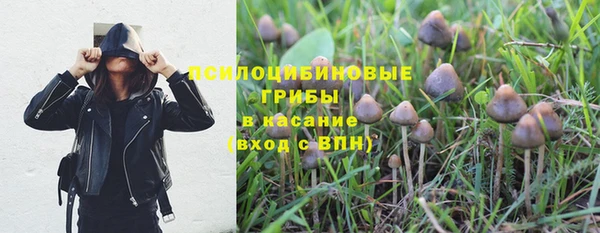 MDMA Богданович